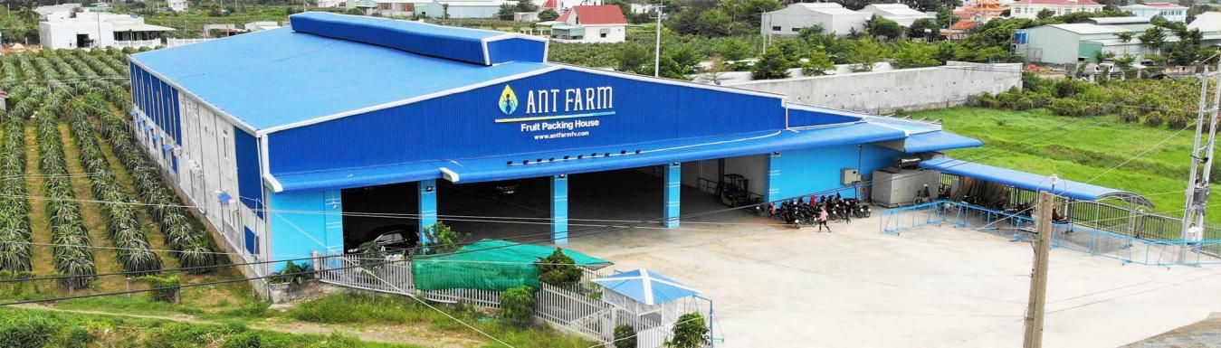 Production area of ANT FARM . Co., Ltd