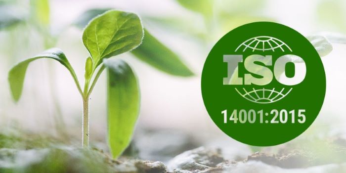 វិញ្ញាបនប័ត្រ ISO 14001 ក្នុងឆ្នាំ 2024 | CGLOBAL